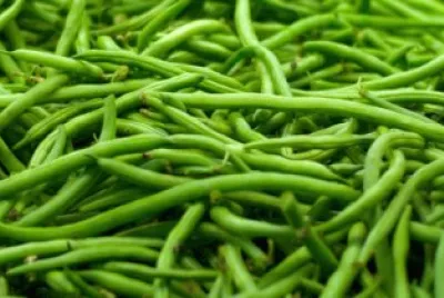 fagiolini