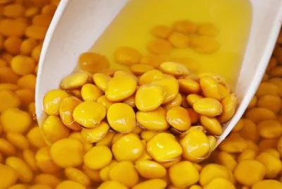lupini