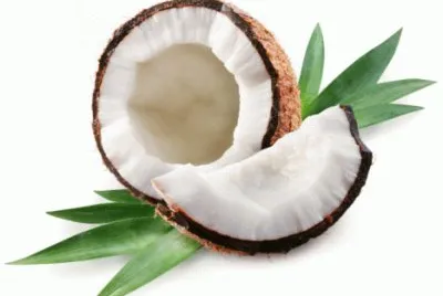 cocco