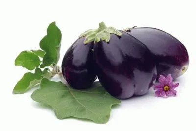 melanzana