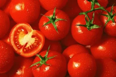 pomodori