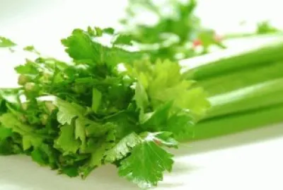 sedano