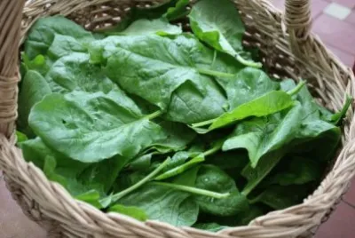 spinaci