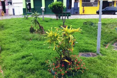 PÃ§a Dr Durval Grossi - Raul Soares - MG