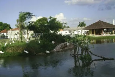 Mangal das Garças _ Belém _PA