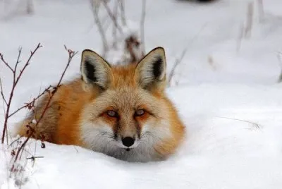 winter