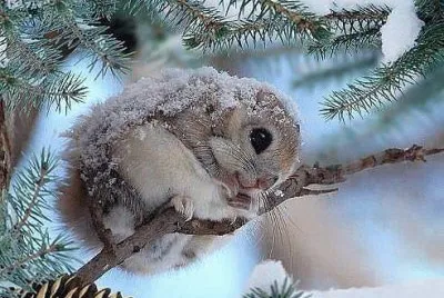 winter