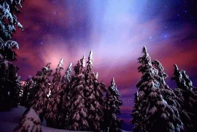 winter