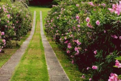 פאזל של JardÃ¬