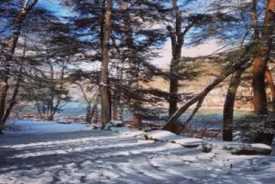 Elwood City Pa. a winter path walk