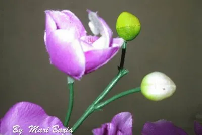 FLOR