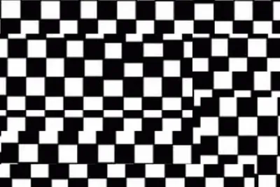 Blanco y Negro jigsaw puzzle
