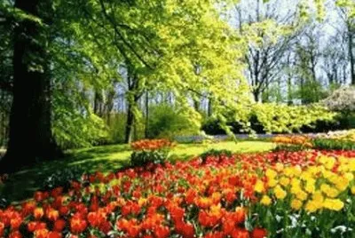 summer 25 jigsaw puzzle