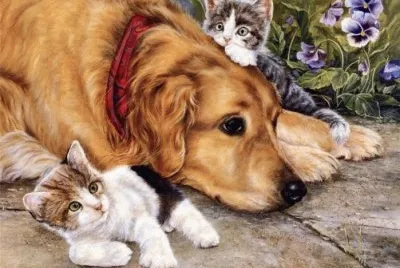פאזל של Pintura