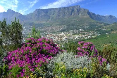 South African view