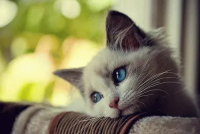 Te extraÃ±o...