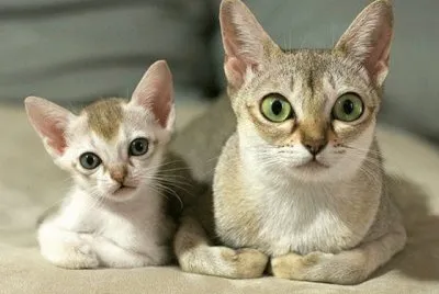 mom