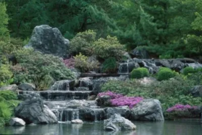Japanese Garden   Montreal