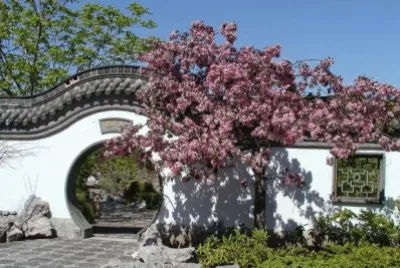 Chinese Garden  Montreal