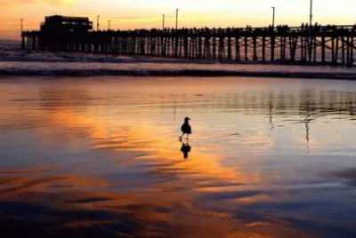 Sunset at Newport Pier-Newport Beach