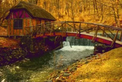 Bridge