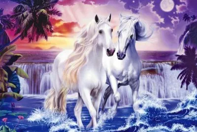 caballos