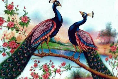 pavos reales
