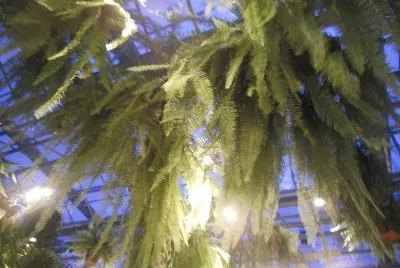 פאזל של é¢¨æ™¯