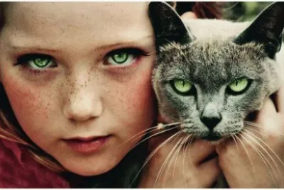 sus ojos jigsaw puzzle