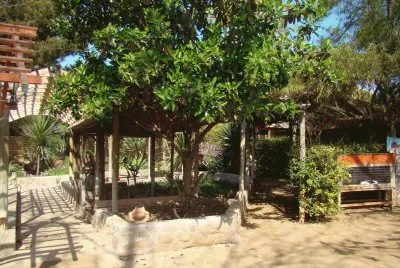 Arbol