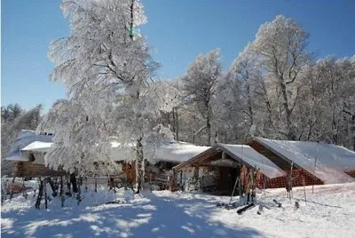 winter 26 jigsaw puzzle