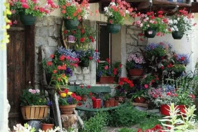 flores