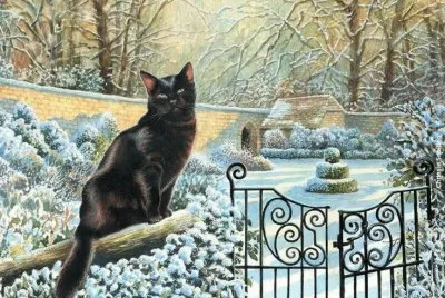 Gatos