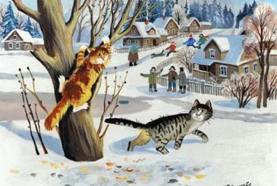 Gatos