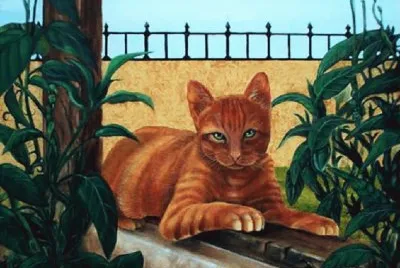 Gatos