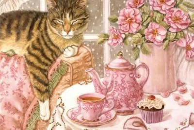 Gatos