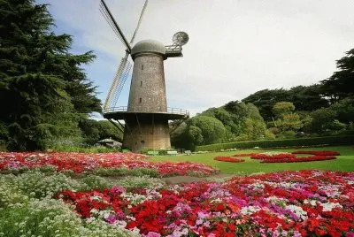 molino jigsaw puzzle