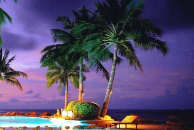 paisaje jigsaw puzzle