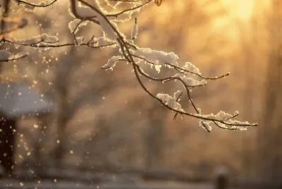 winter