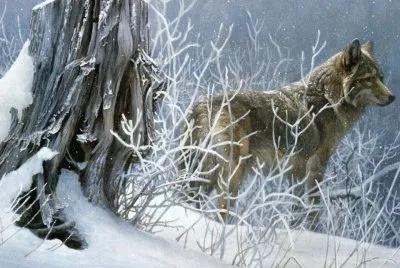winter