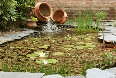 estanque de jardin con cascada jigsaw puzzle
