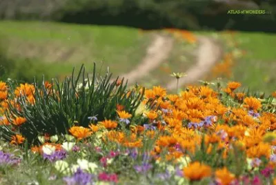 naturaleza