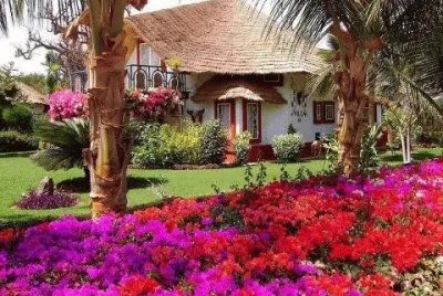 Jardim de casa com coqueiros