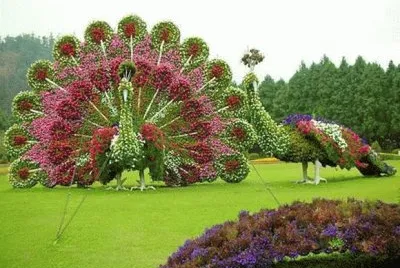 CREATIVIDAD EN JARDINERÃA