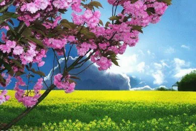 natureza