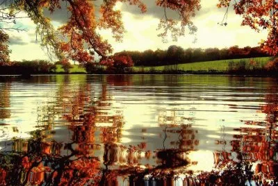 natureza