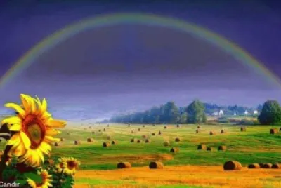 arco iris
