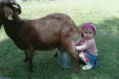 menina