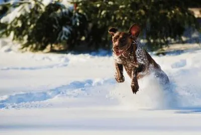 winter