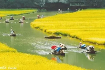 paisagem